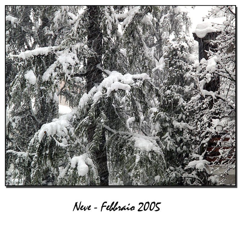 La neve_002