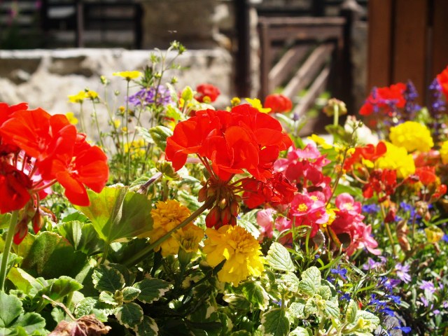Fiori