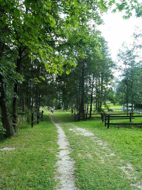 Viale