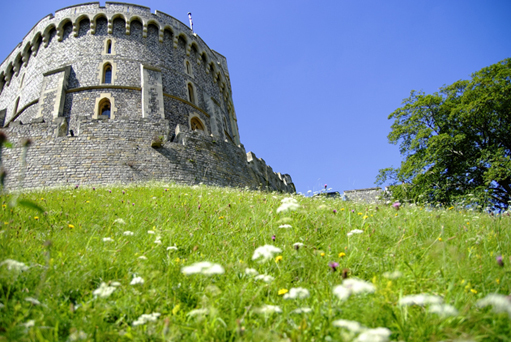 windsor garden2