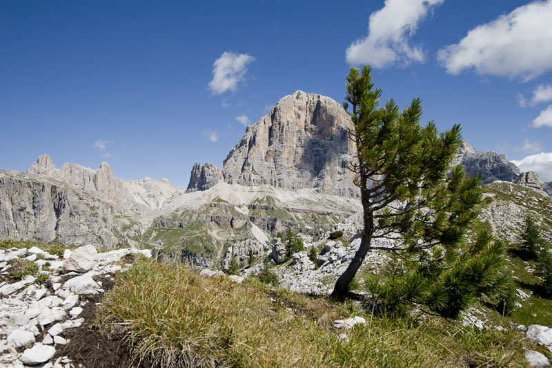 esposto al vento