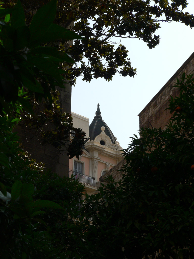 Tra le foglie