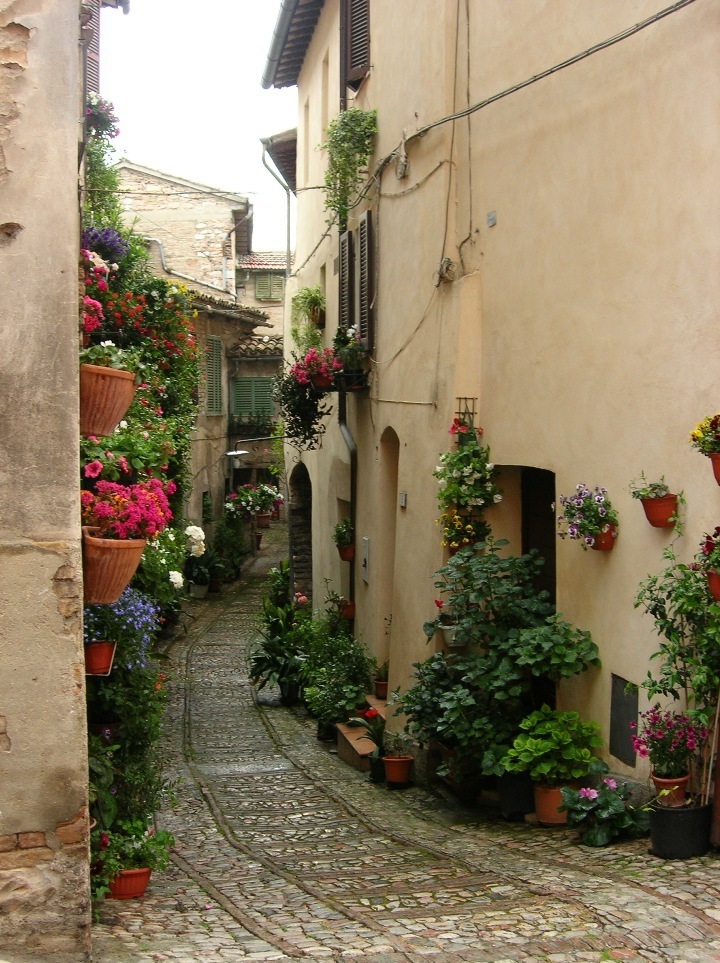 Vicolo fiorito