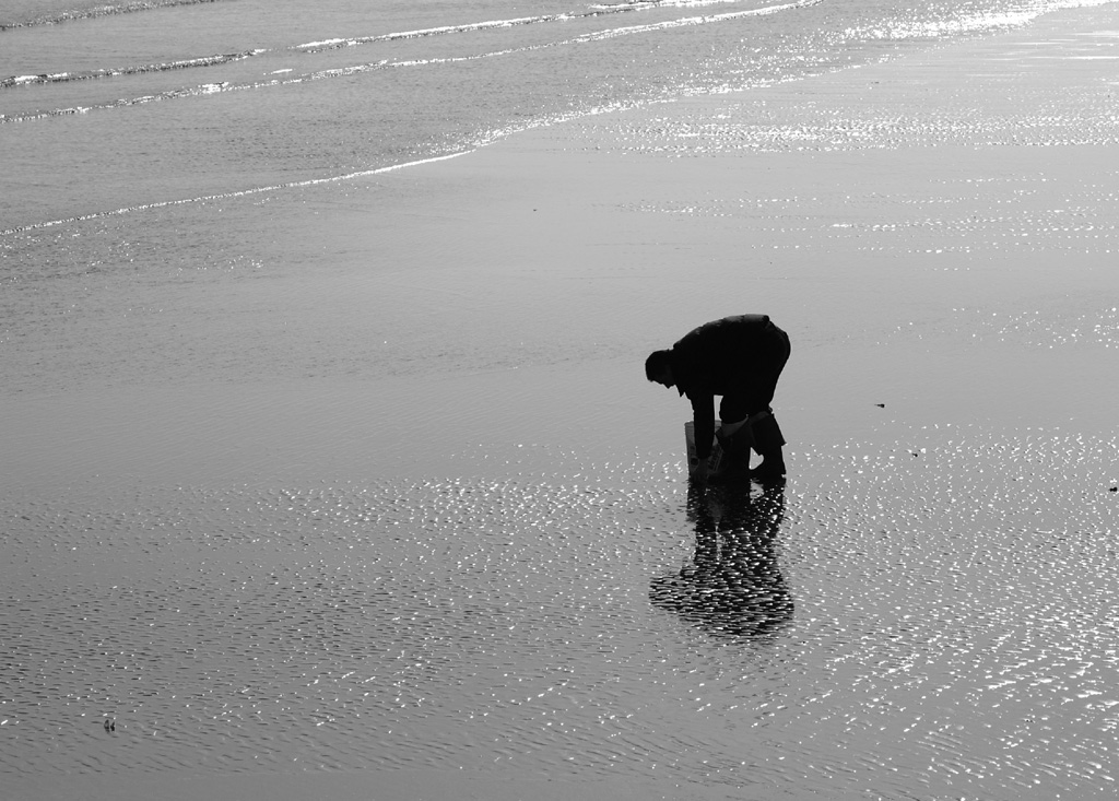 Andando a caparossoli