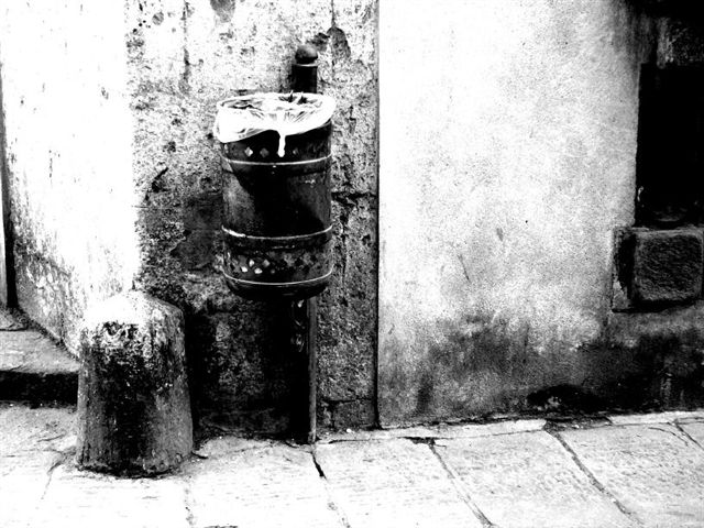 S_Pisa (10) bN