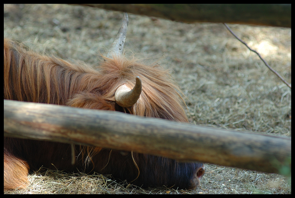 parco Martinat