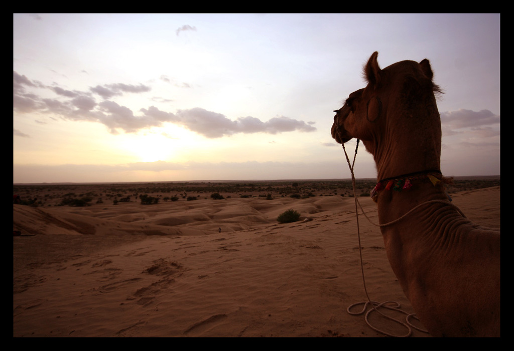 Deserto indiano