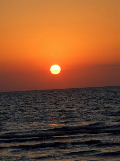sole