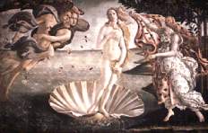 venere