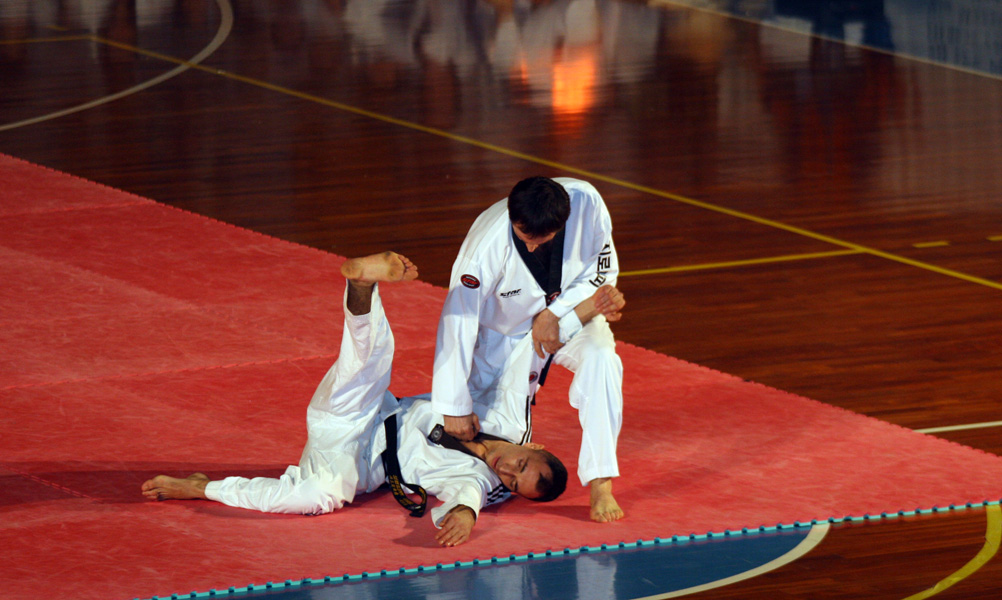 Tae Kwon Do 2