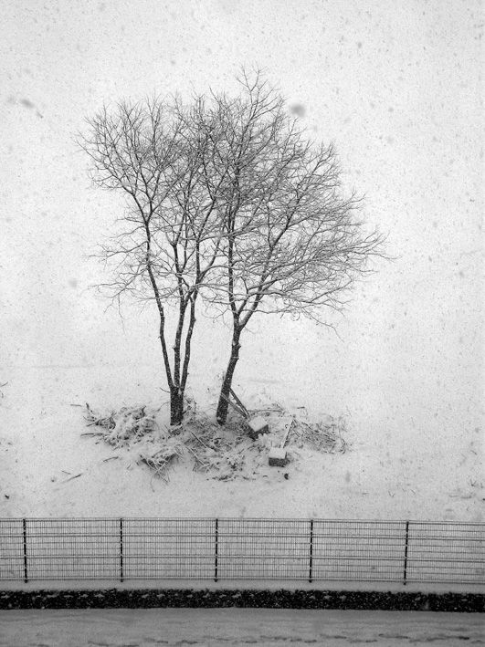 snow in milan