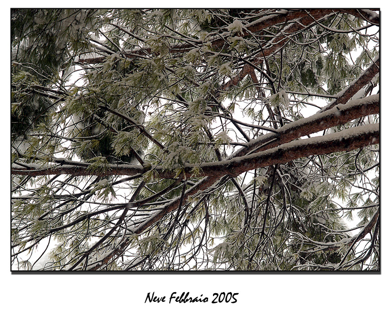 La neve_003