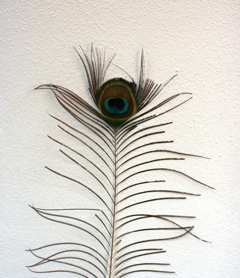 Piuma