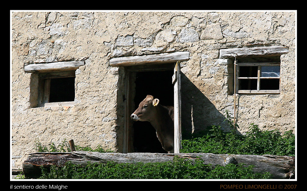 il sentiero delle Malghe .....