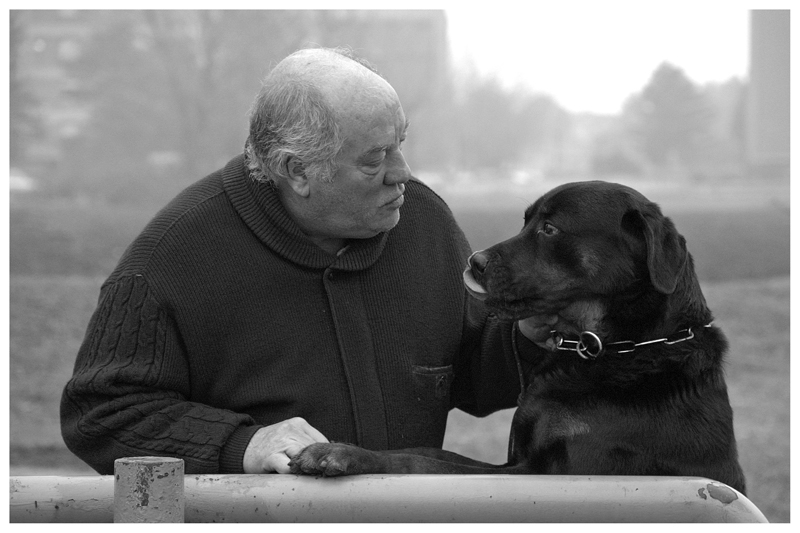 Liuk & Bogy
