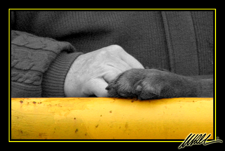 Mankind...Dogkind... Pardes