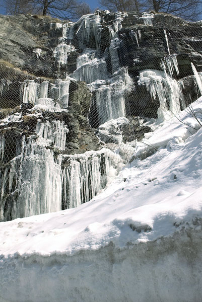 ice_playes