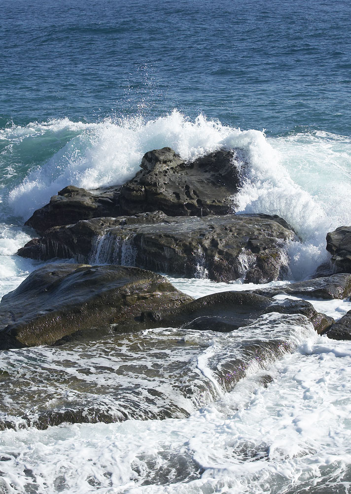 Homage_to_sea