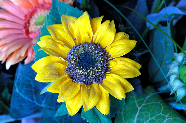 Fiore di carta