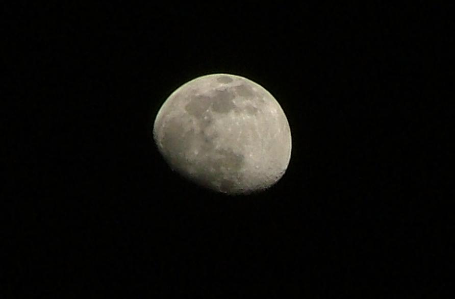 Luna di Notte