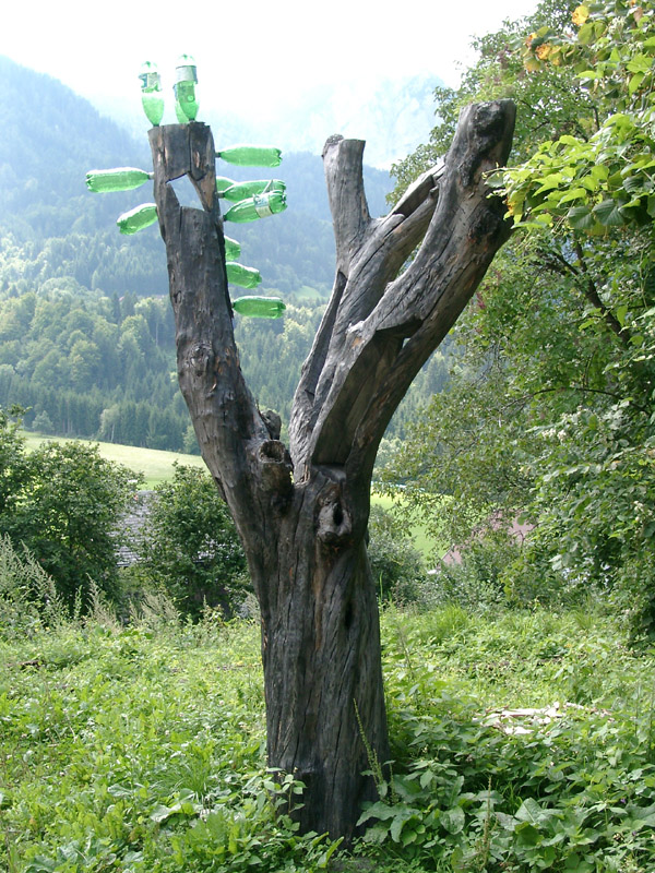Albero transgenico