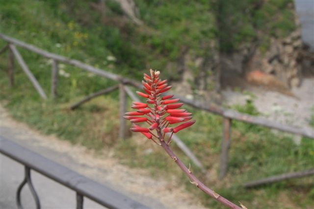 Natura2