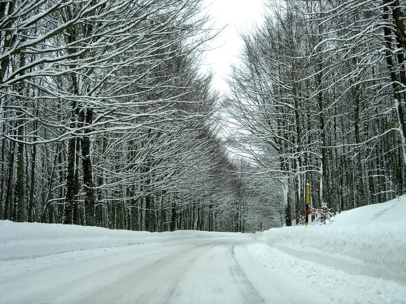 Amiata