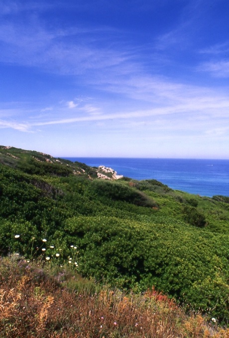 Costa Verde