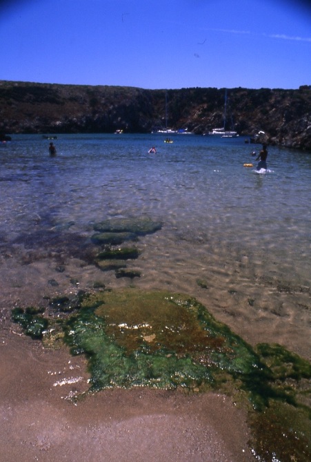 Cala Domestica