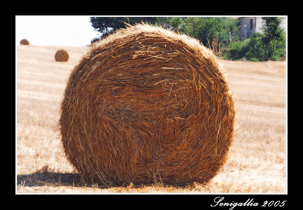 Balla Di Fieno
