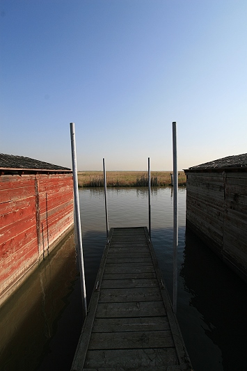 Giare