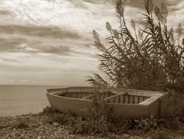 The man and the sea