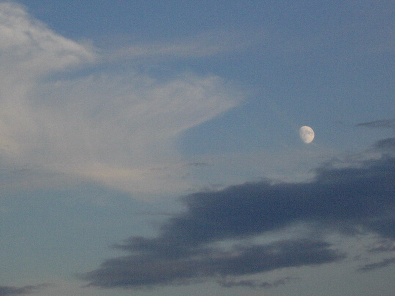 moonpaint