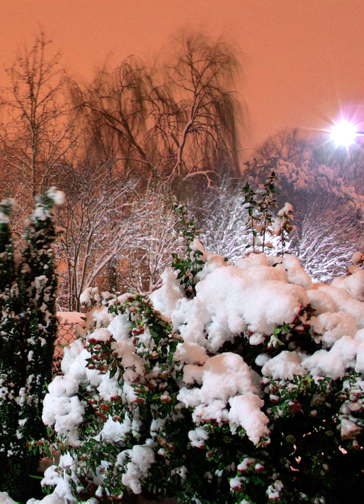  notte e nevica