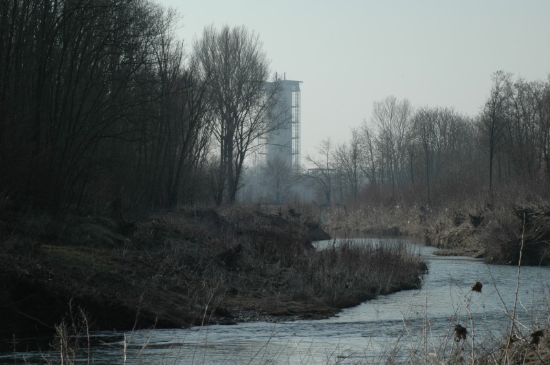 D70