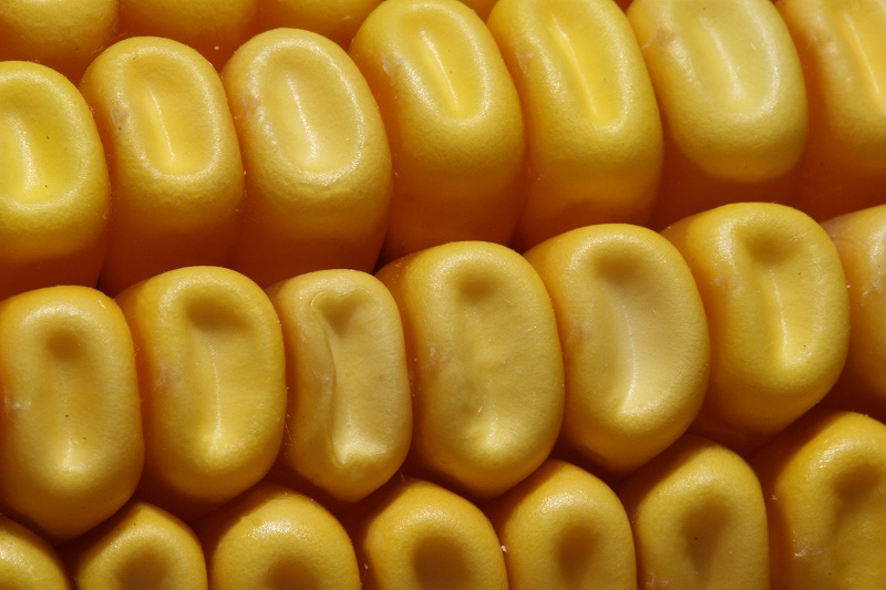 Mais texture