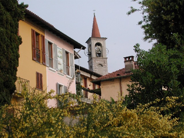 Cartolina