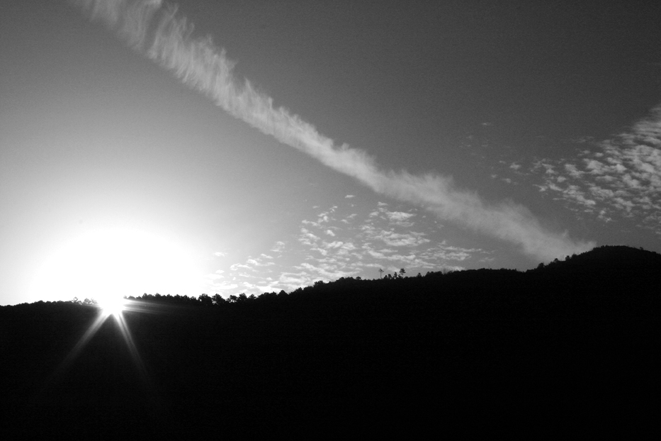 Alba