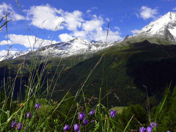 Trentino