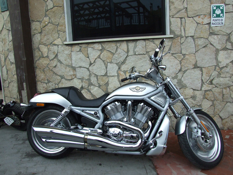 hog_5