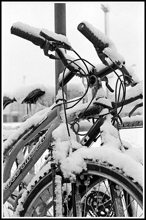 Sotto la neve