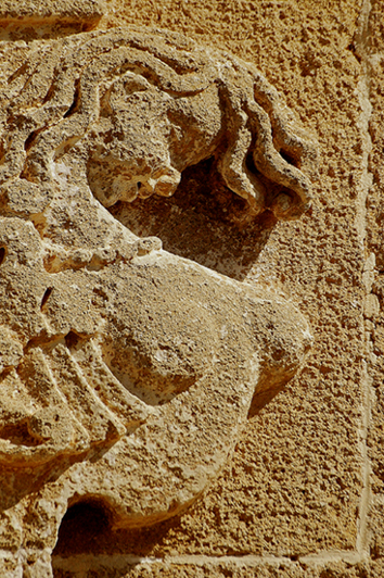 Dettaglio os