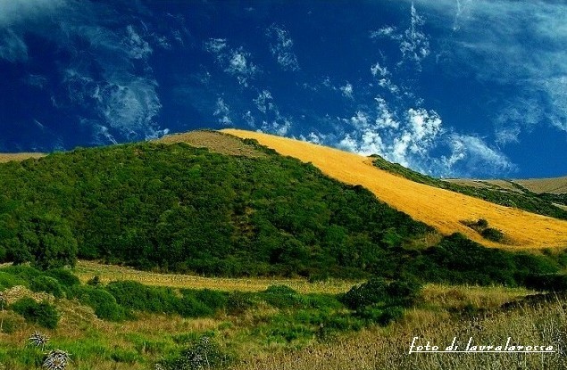 collina