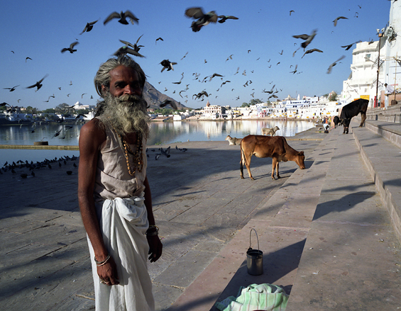 da Assisi a Pushkar lunga  la strada (originale colore)