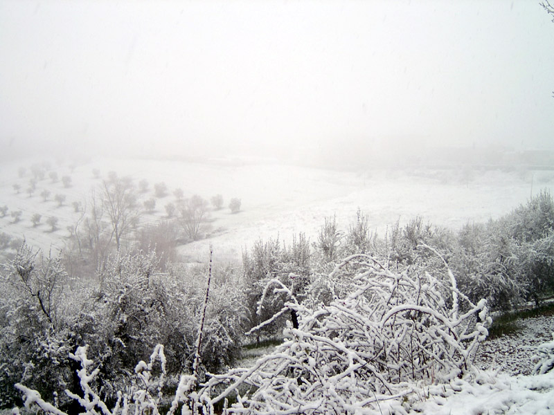 neve 02