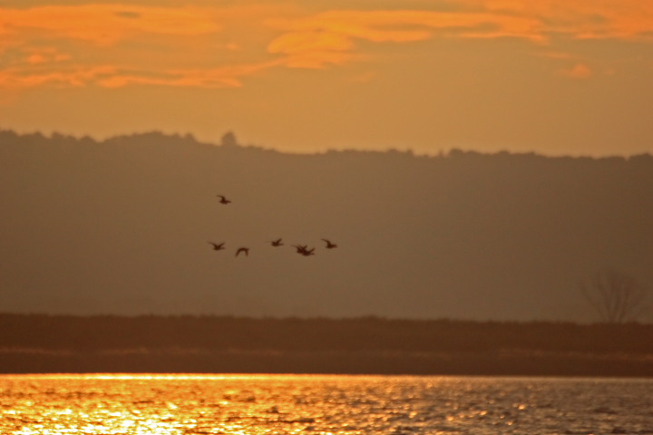 alba sul lago 3
