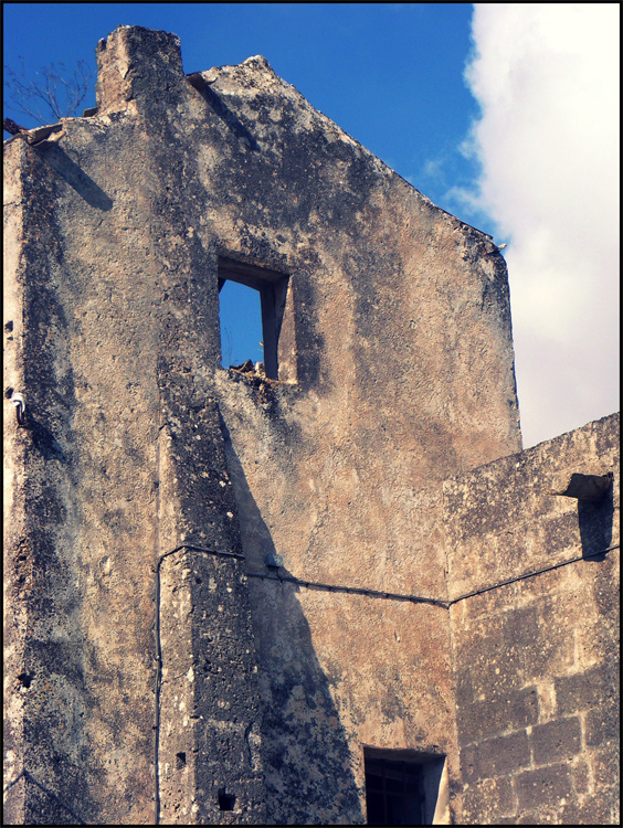 scorcio laertino #2