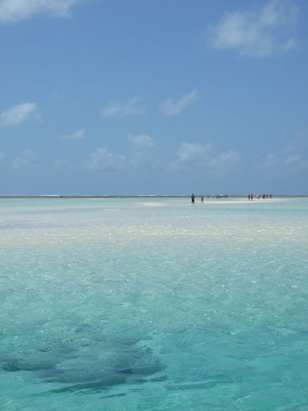 paradiso