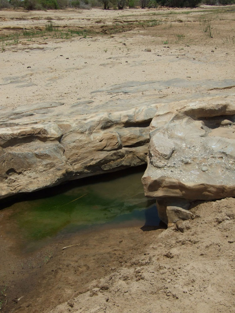 l'acqua