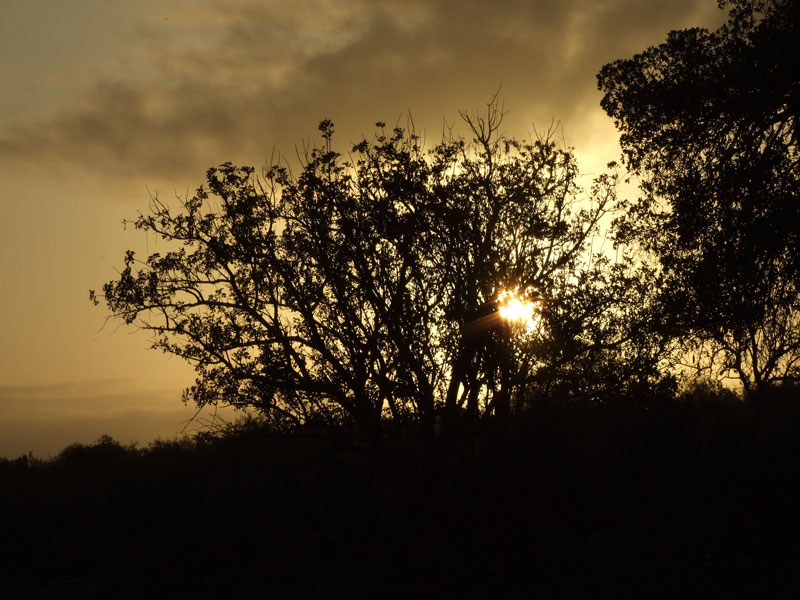 il sole si nasconde